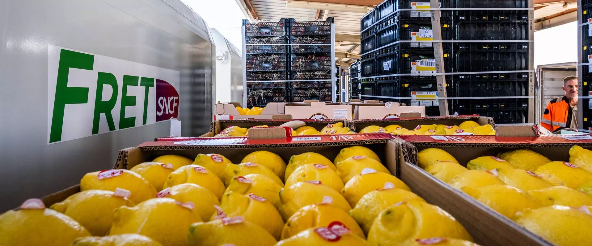 Citrons en attente de chargement dans un train du primeur