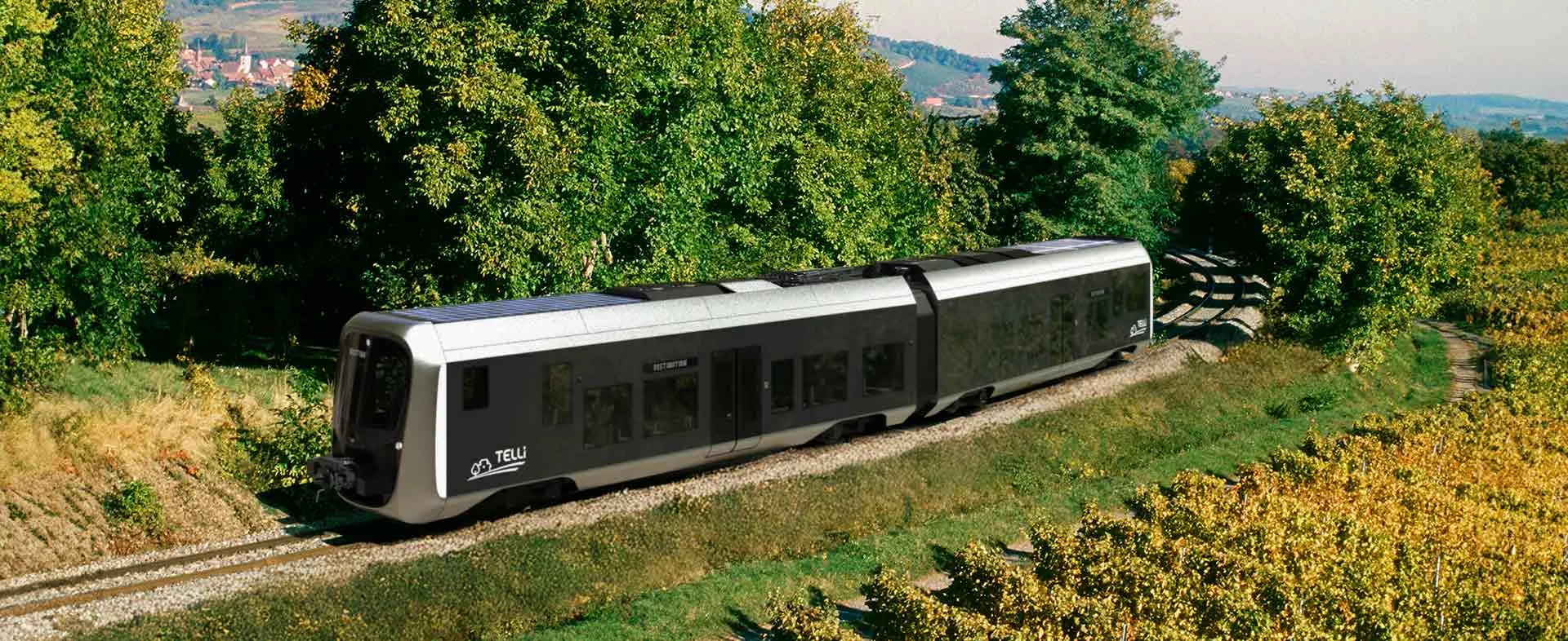 Train TELLi dans la campagne