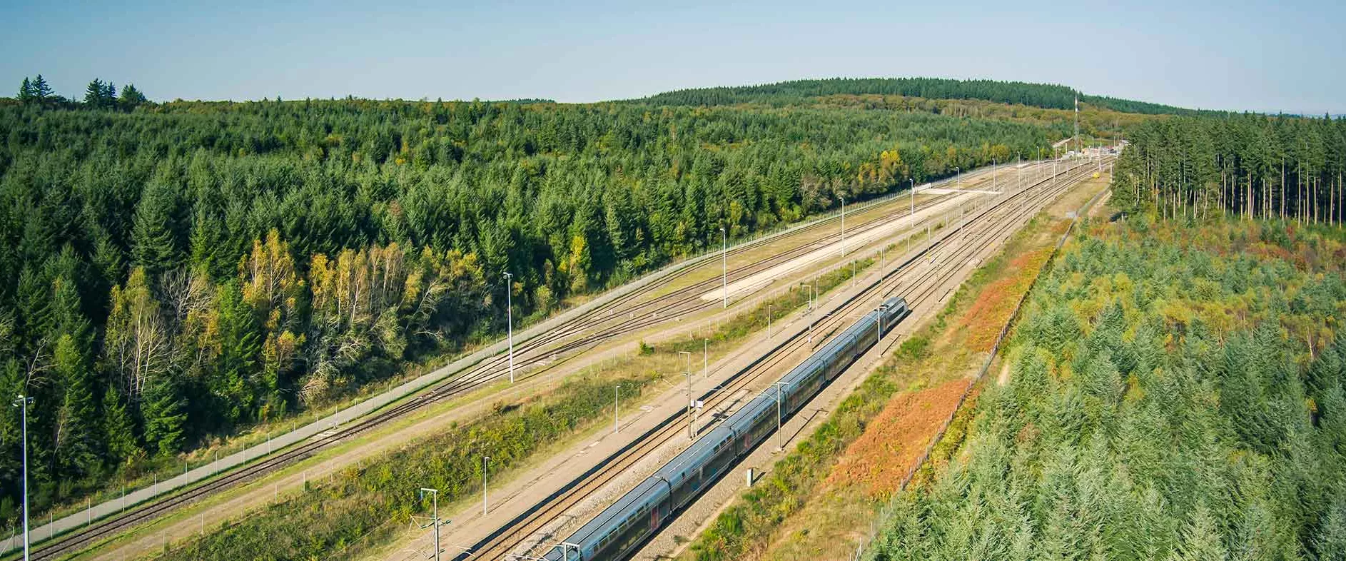 TGV INOUI en vue aérienne traversant une forêt