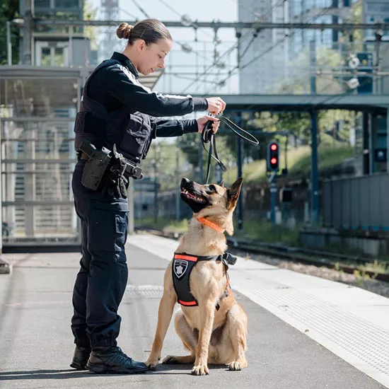 Agent Suge cynophile