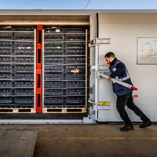 Chargement du train du primeur par RLE