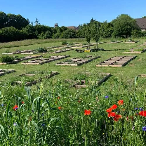 Association 1001 Légumes – Partenaire Fondation SNCF