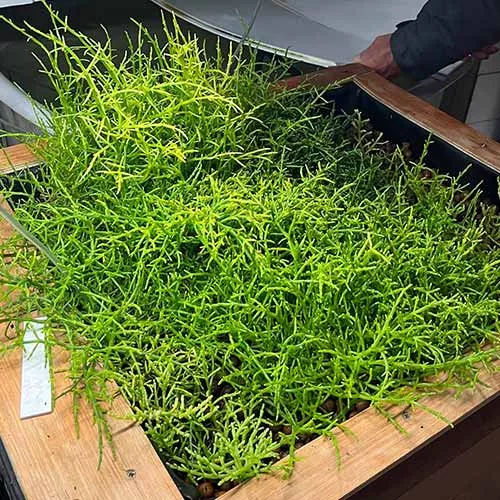 Association Aquacaux – Partenaire Fondation SNCF