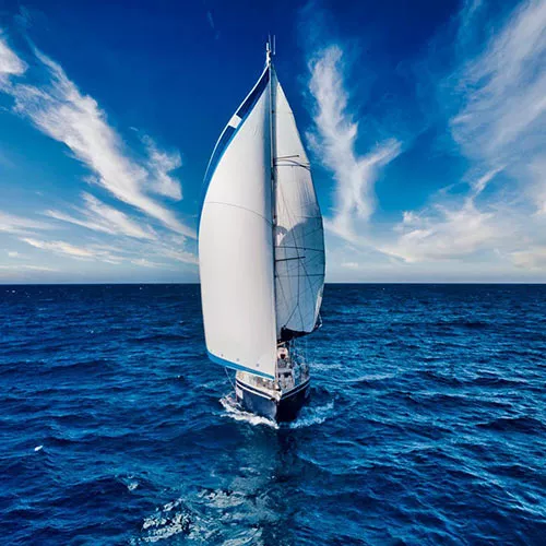 Association Captain Darwin – Partenaire Fondation SNCF