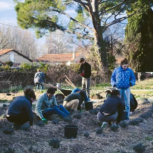 Association Les Jeunes Pousses – Partenaire Fondation SNCF