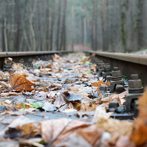 Feuilles mortes sur les voies ferrées