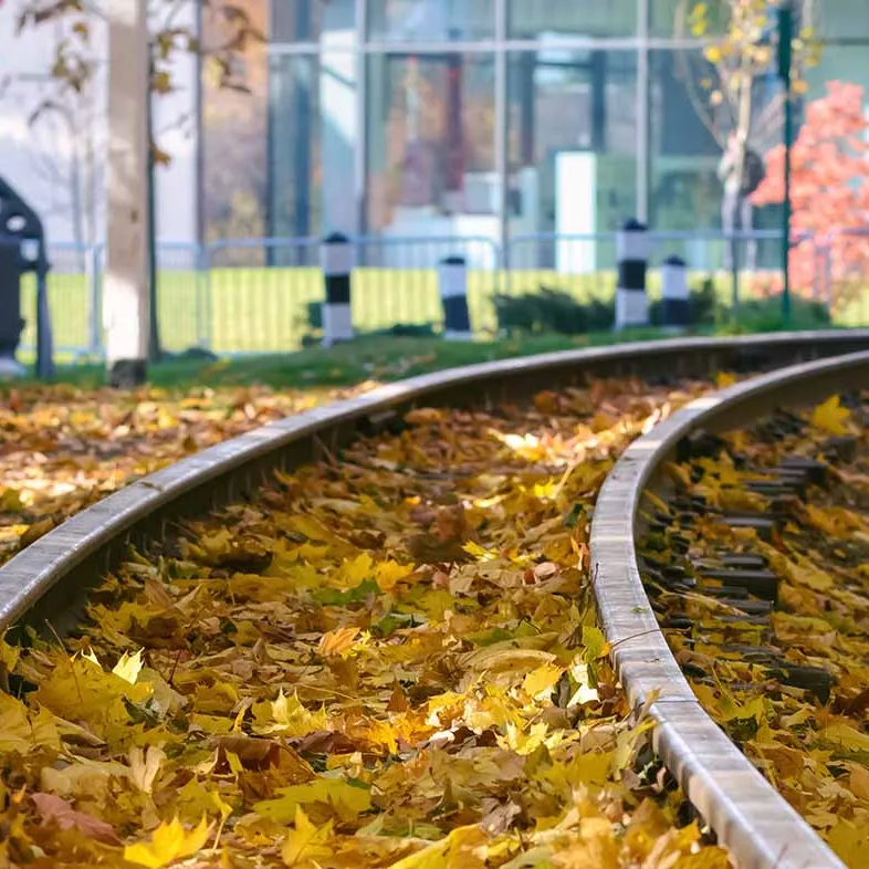 Feuilles mortes sur les voies ferrées