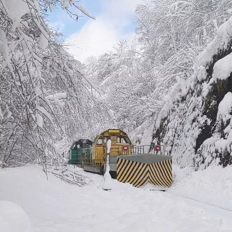 Déneigeuse SNCF Réseau sur voies ferroviaire
