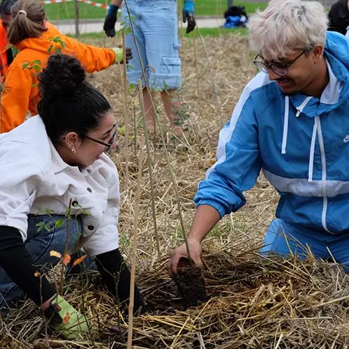 Plantation d'une microforêt par l'association MiniBigForest – Partenaire Fondation SNCF