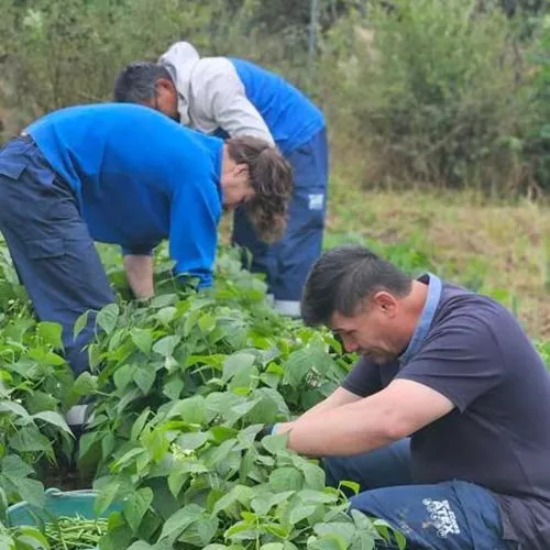 Association La Terre en Partage – Partenaire Fondation SNCF