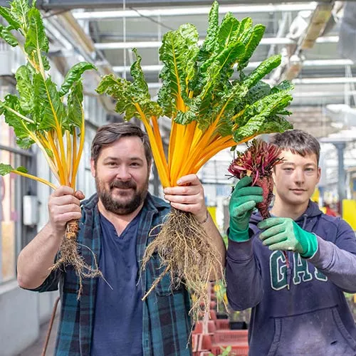 Association La Sauge – Partenaire Fondation SNCF