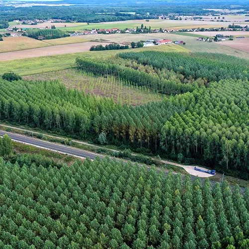 Pose du nouvel appareil de voie avec ses portiques