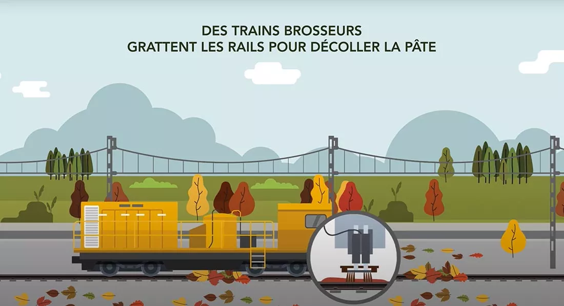 Lutter contre la pâte graisseuse végétale